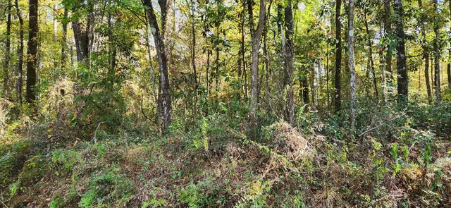 $70,000 | Colonial Drive, Havana, FL 32333