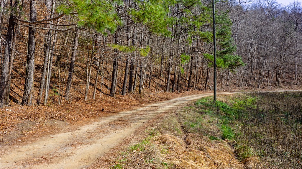 0 Rambling Road Talking Rock, GA 30175 - Photo 4 of 15 Gallery Image 4