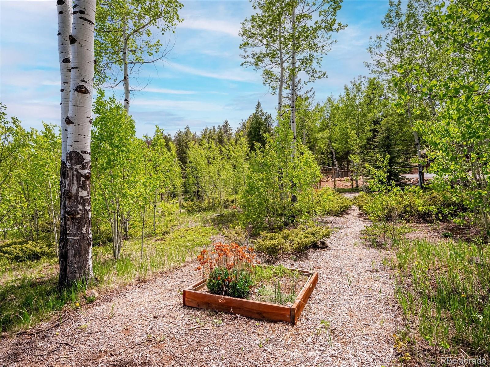 9390 South Warhawk Road Conifer, CO 80433 - Photo 36 of 46 a view of a garden with plants and large trees