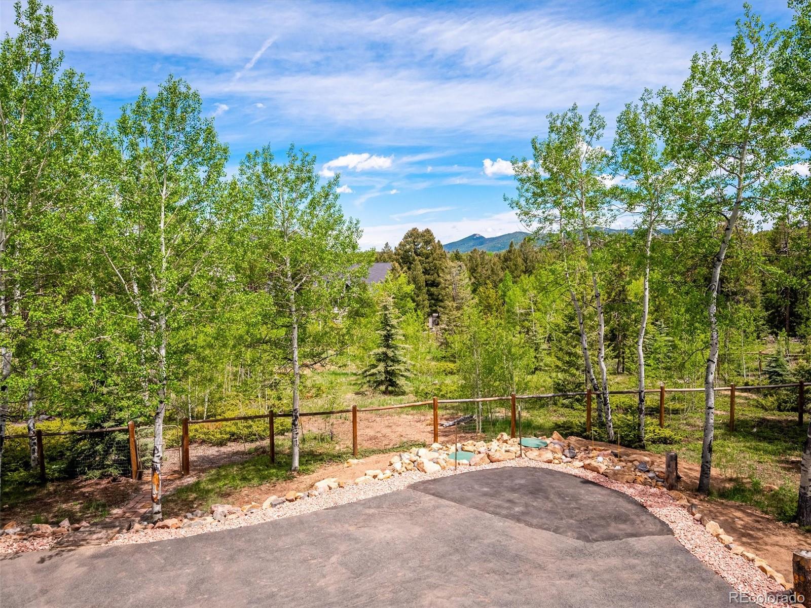 9390 South Warhawk Road Conifer, CO 80433 - Photo 6 of 46 a view of backyard with large trees