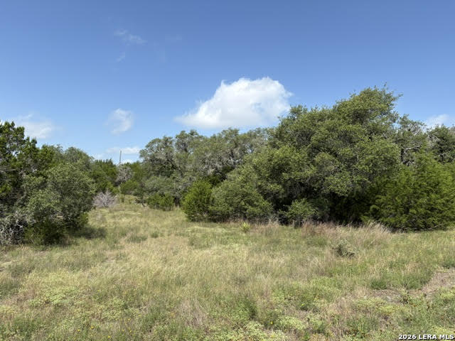 Lot 2025 Split Ridge Spring Branch, TX 78070 - Photo 10 of 35