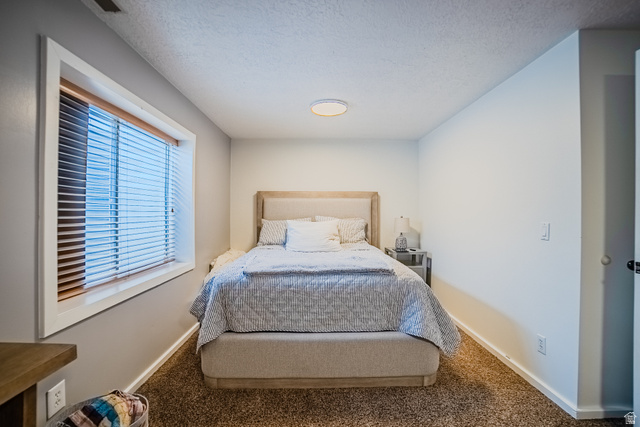 12008 Reeves Lane Riverton, UT 84065 - Photo 29 of 52