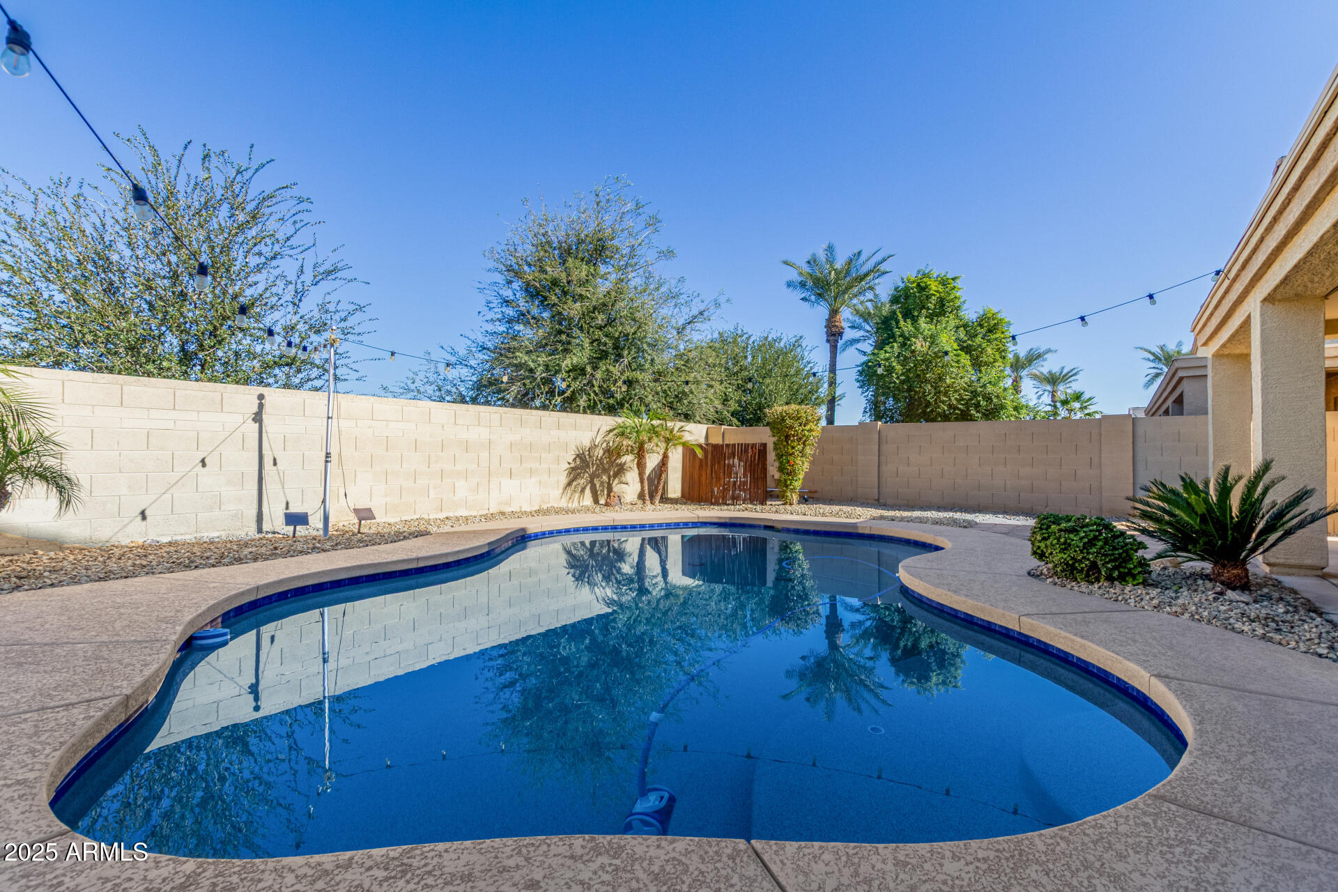 42978 West Magnolia Road Maricopa, AZ 85138 - Photo 42 of 43 48 - Magnolia
