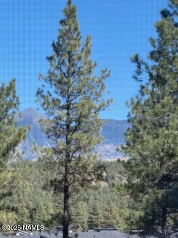 a view of a backyard of the house