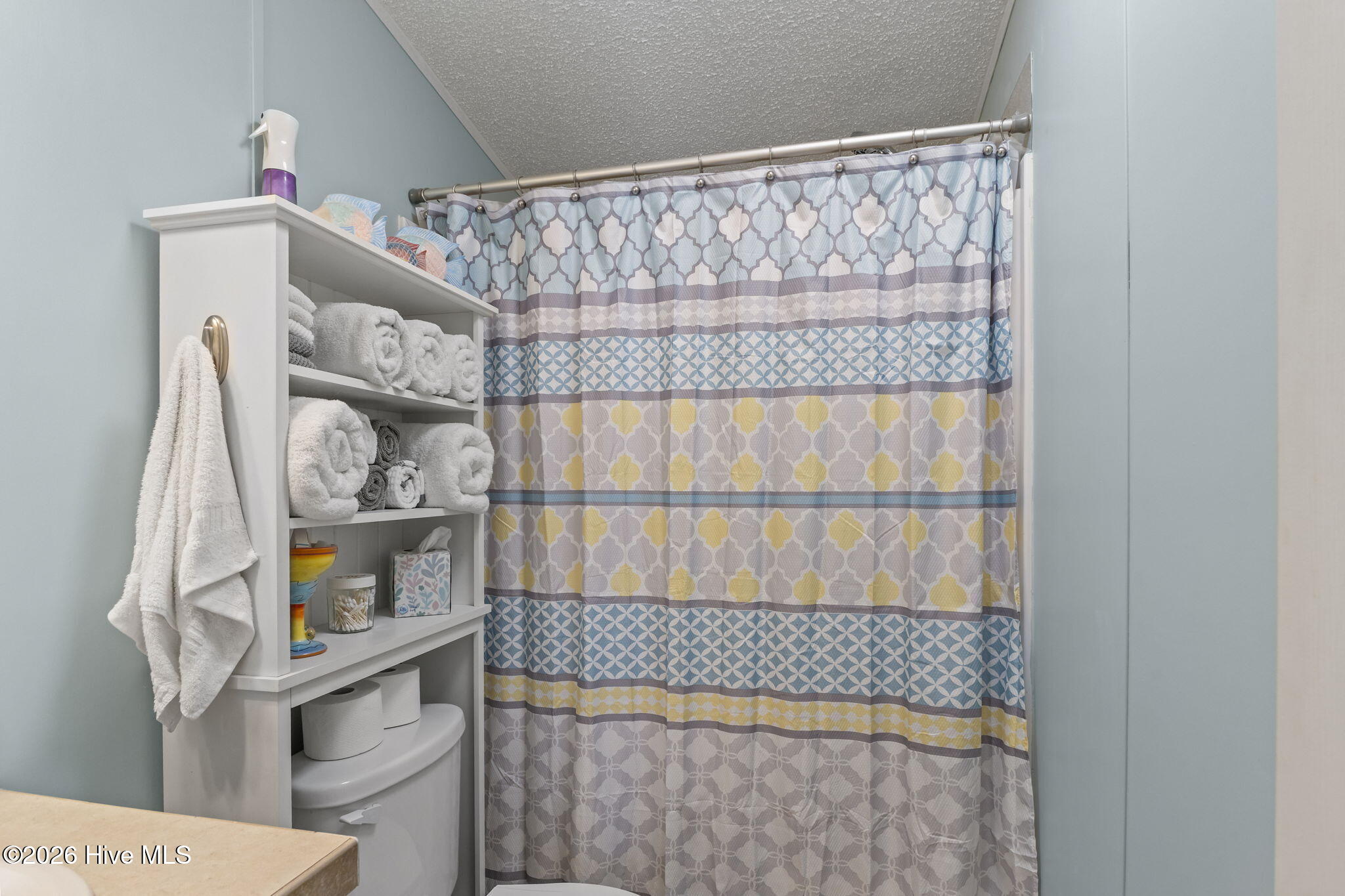 106 Bay Harbor Court Cedar Point, NC 28584 - Photo 23 of 44 23-web-or-mls-1S3A9824