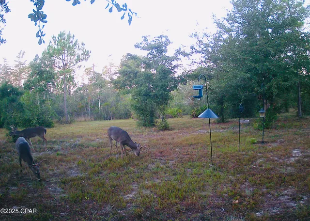 $750,000 | 2555 East Highway 388, Panama City, FL 32409