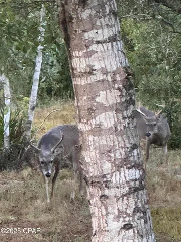 $750,000 | 2555 East Highway 388, Panama City, FL 32409