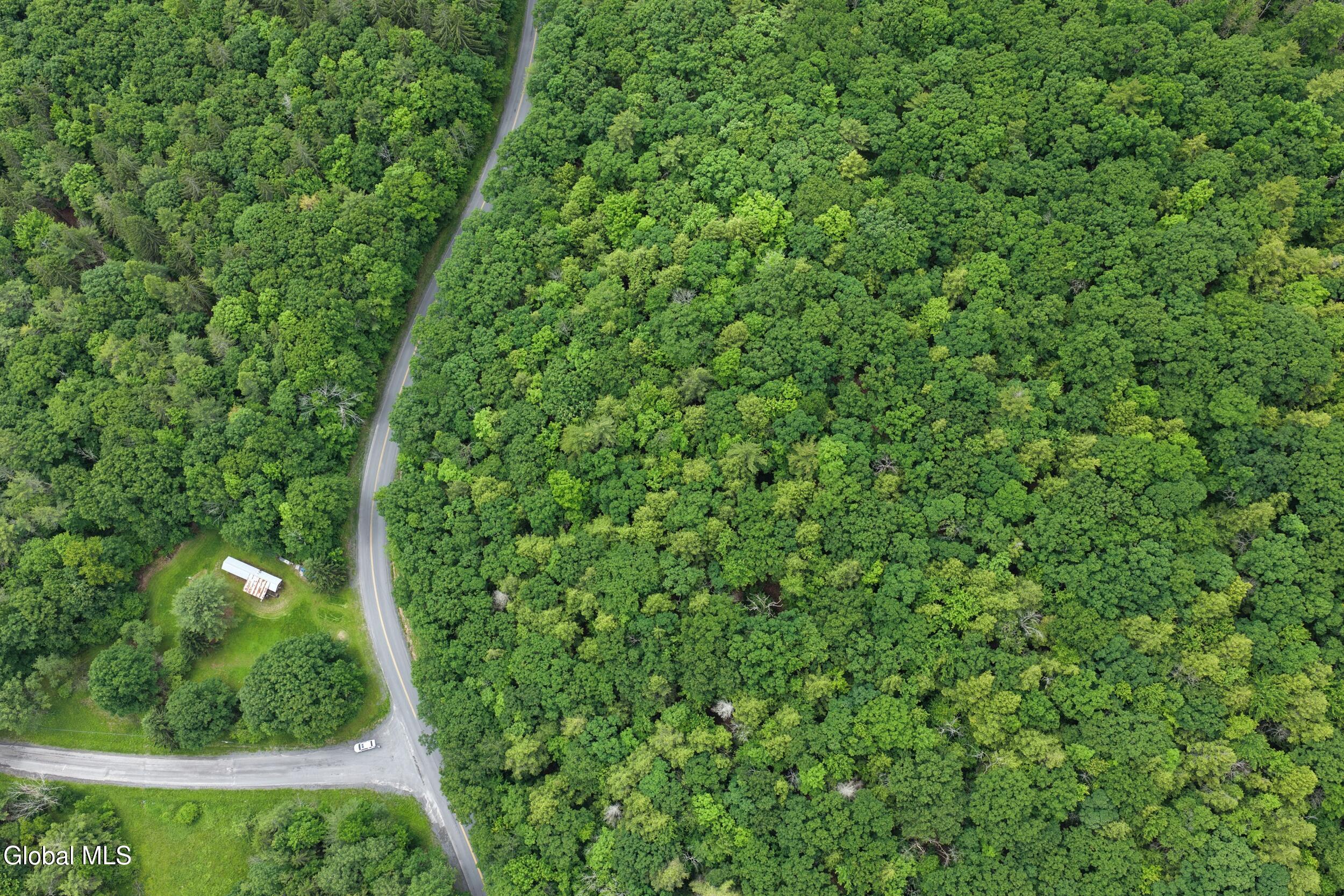 L1.00 Cotton Hill Road Middleburgh, NY 12122 - Photo 8 of 17 dji_20260616013743_0054_d