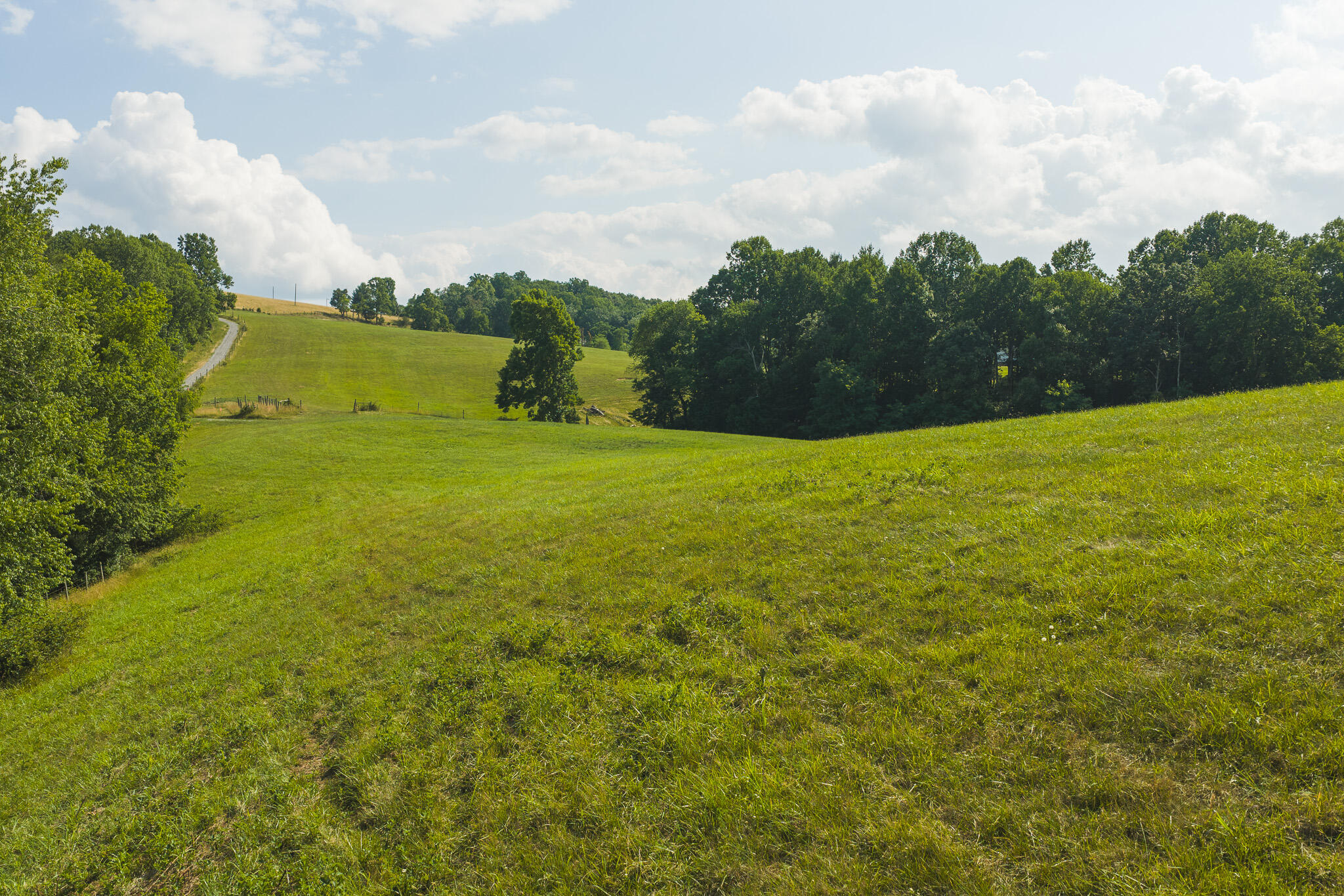 Lot 5 Brush Creek Road Riner, VA 24149 - Photo 12 of 15 DJI_20260629164923_0169_D