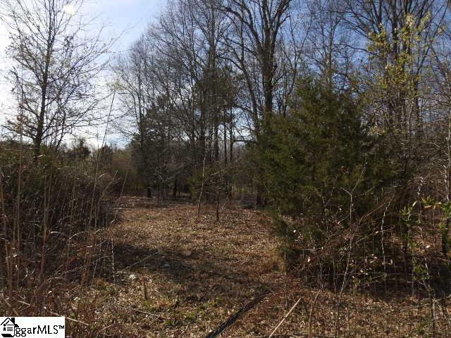 346 Wofford Shoals Road, Unit LOT 2 Fountain Inn, SC 29644 - Photo 17 of 17