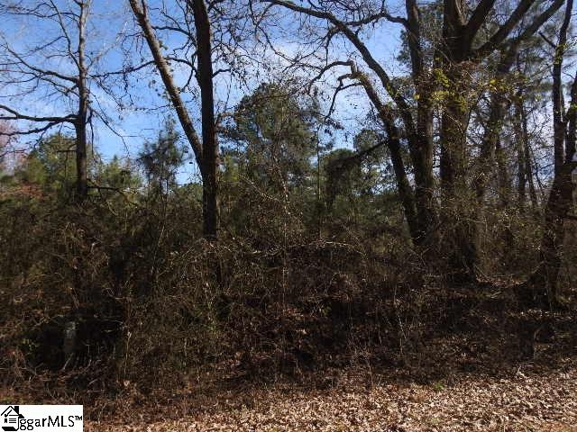 346 Wofford Shoals Road, Unit LOT 2 Fountain Inn, SC 29644 - Photo 8 of 17