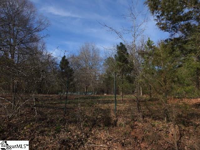 346 Wofford Shoals Road, Unit LOT 2 Fountain Inn, SC 29644 - Photo 9 of 17
