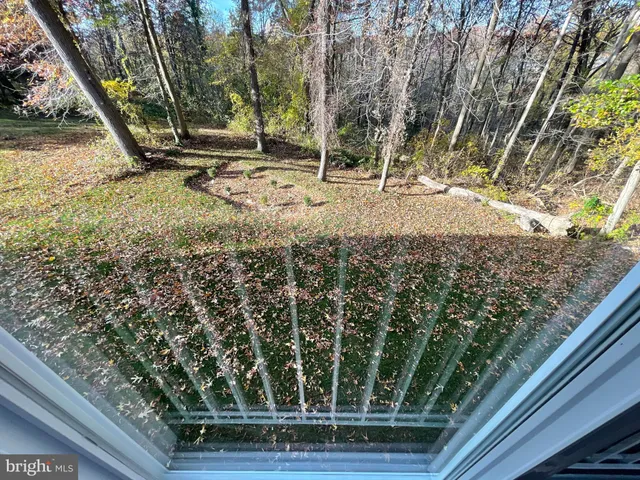 a view of a yard with wooden fence