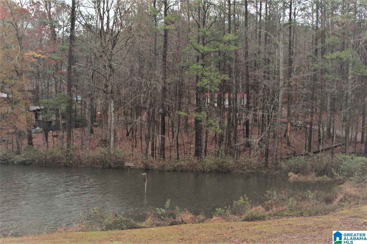 0 County Road 921, Unit 2 Delta, AL 36258 - Photo 9 of 17