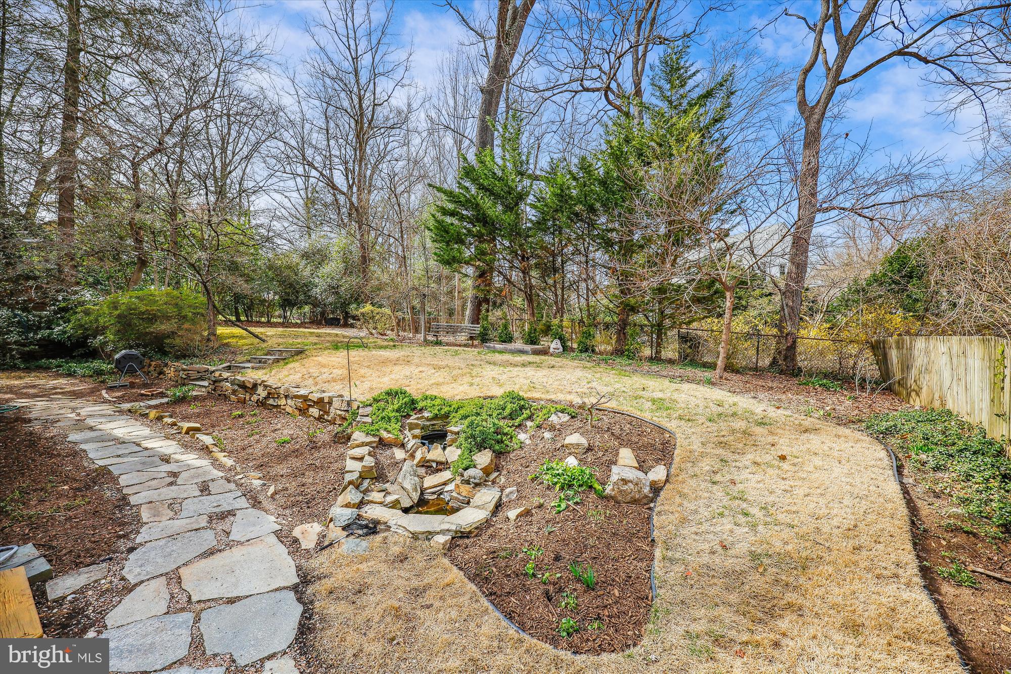 411 Pershing Drive Silver Spring, MD 20910 - Photo 6 of 64 a view of yard with trees