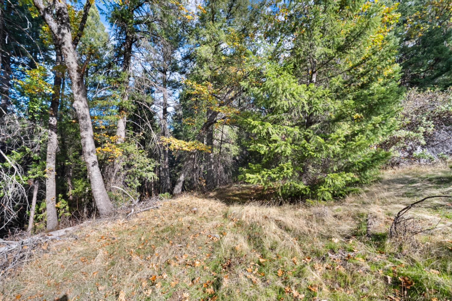 0 Starkes Grade Road Pollock Pines, CA 95726 - Photo 18 of 23