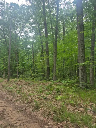 $49,900 | 6622 Spruce Road, Fountain, MI 49410