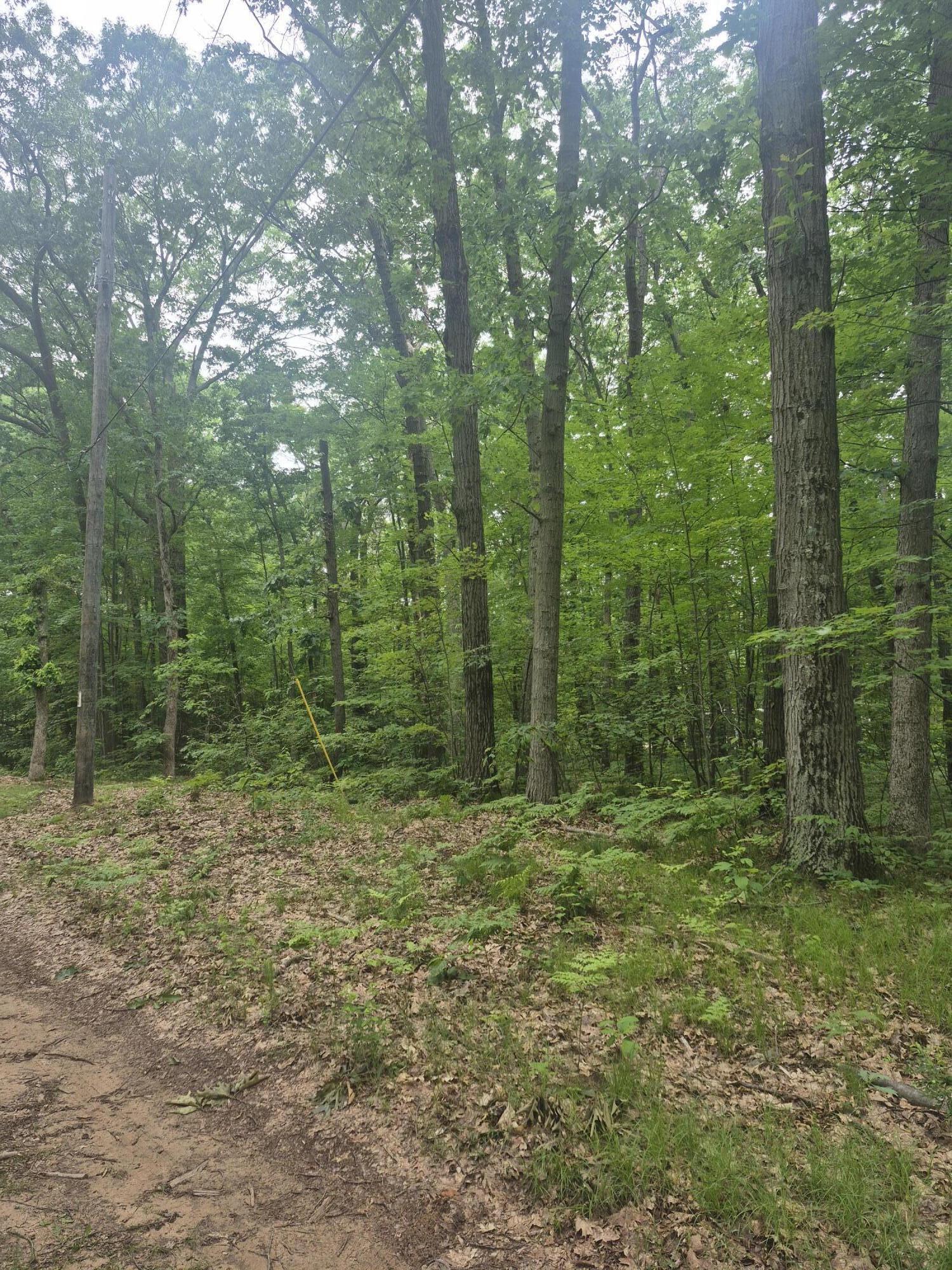 6622 Spruce Road Fountain, MI 49410 - Photo 1 of 10 Woods on Spruce_125450