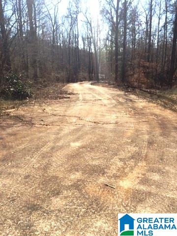 4530 Oak Grove Road, Unit 20 ACRES Lineville, AL 36266 - Photo 5 of 9
