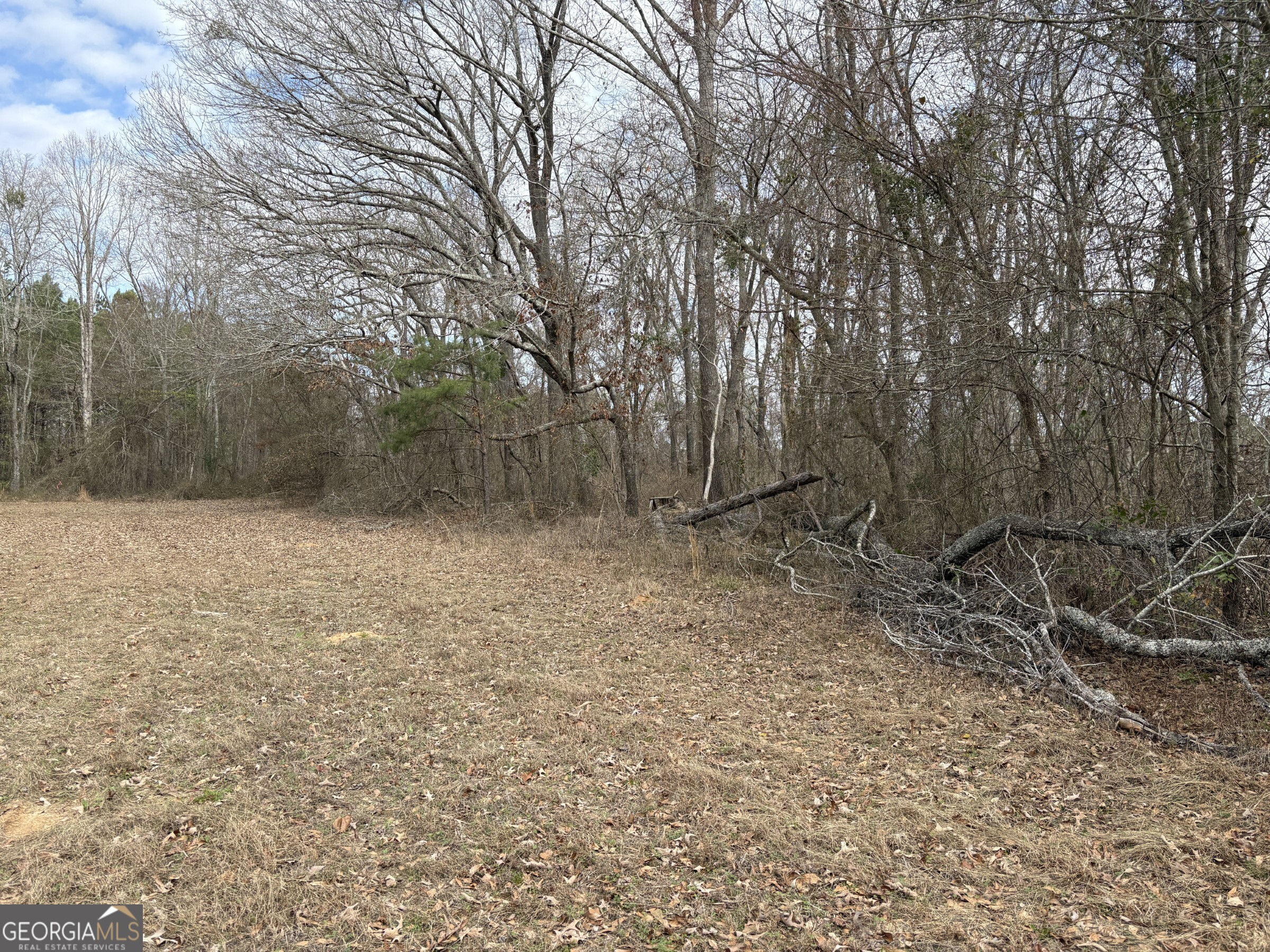 L8 Quaker Road Keysville, GA 30816 - Photo 6 of 10