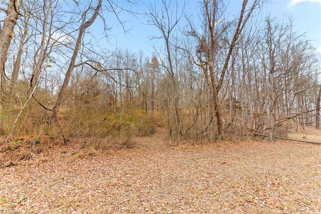 555 Jackson Road Mount Airy, NC 27030 - Photo 36 of 43 Path to River from House