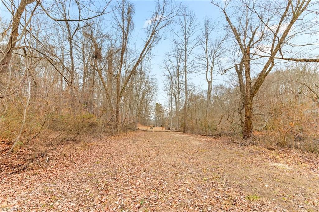 555 Jackson Road Mount Airy, NC 27030 - Photo 37 of 43 Pathway by River