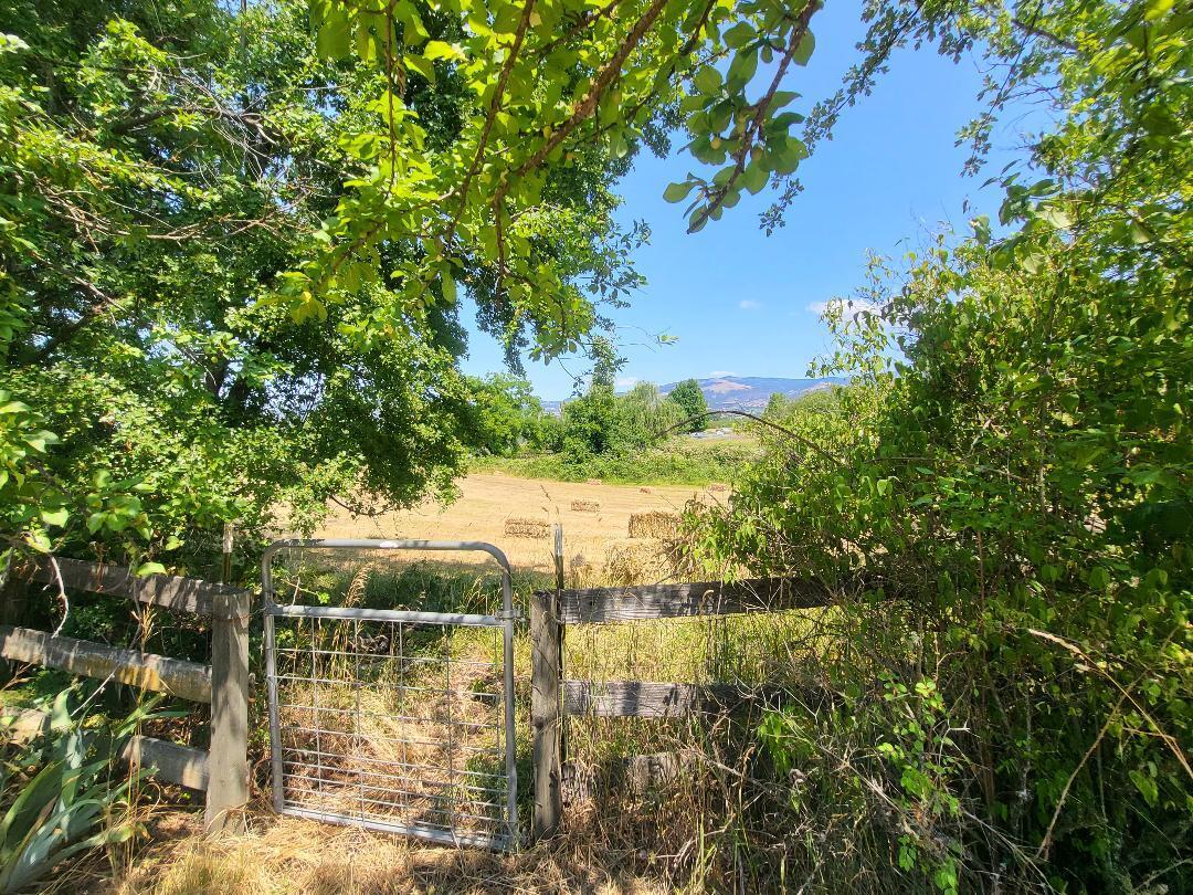 845 Carpenter Hill Road Medford, OR 97501 - Photo 21 of 23 Side pasture