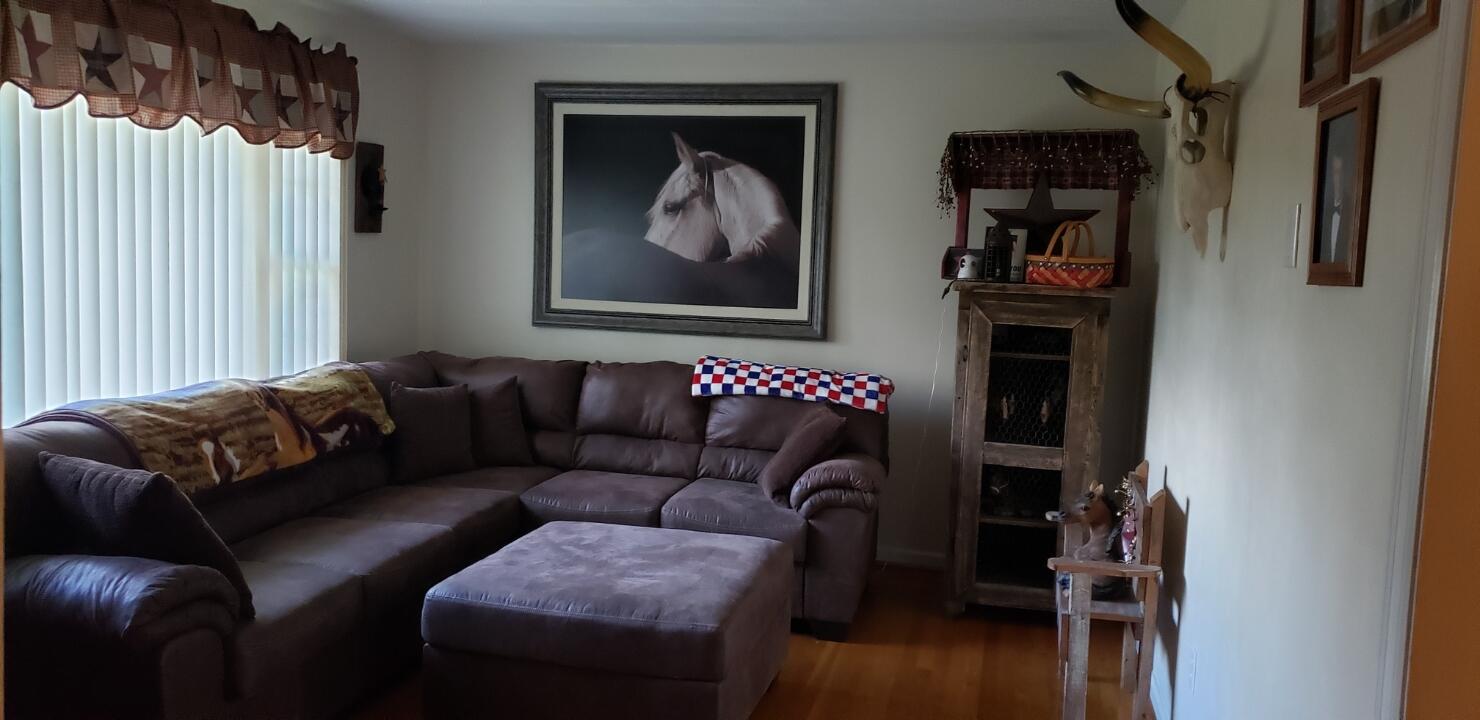 8185 Edwardsville Road Hardy, VA 24101 - Photo 12 of 40 Living room decorated