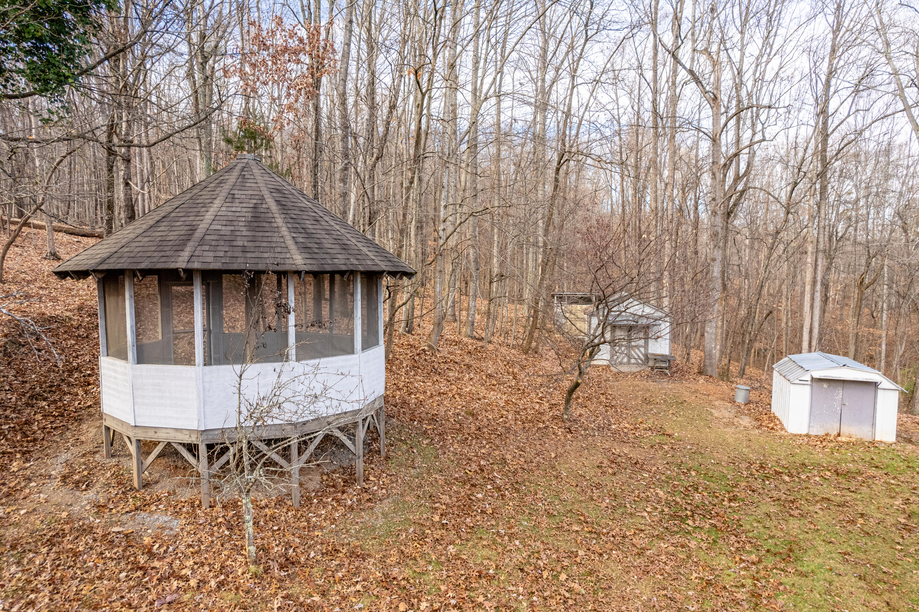 8185 Edwardsville Road Hardy, VA 24101 - Photo 34 of 40 Gazebo