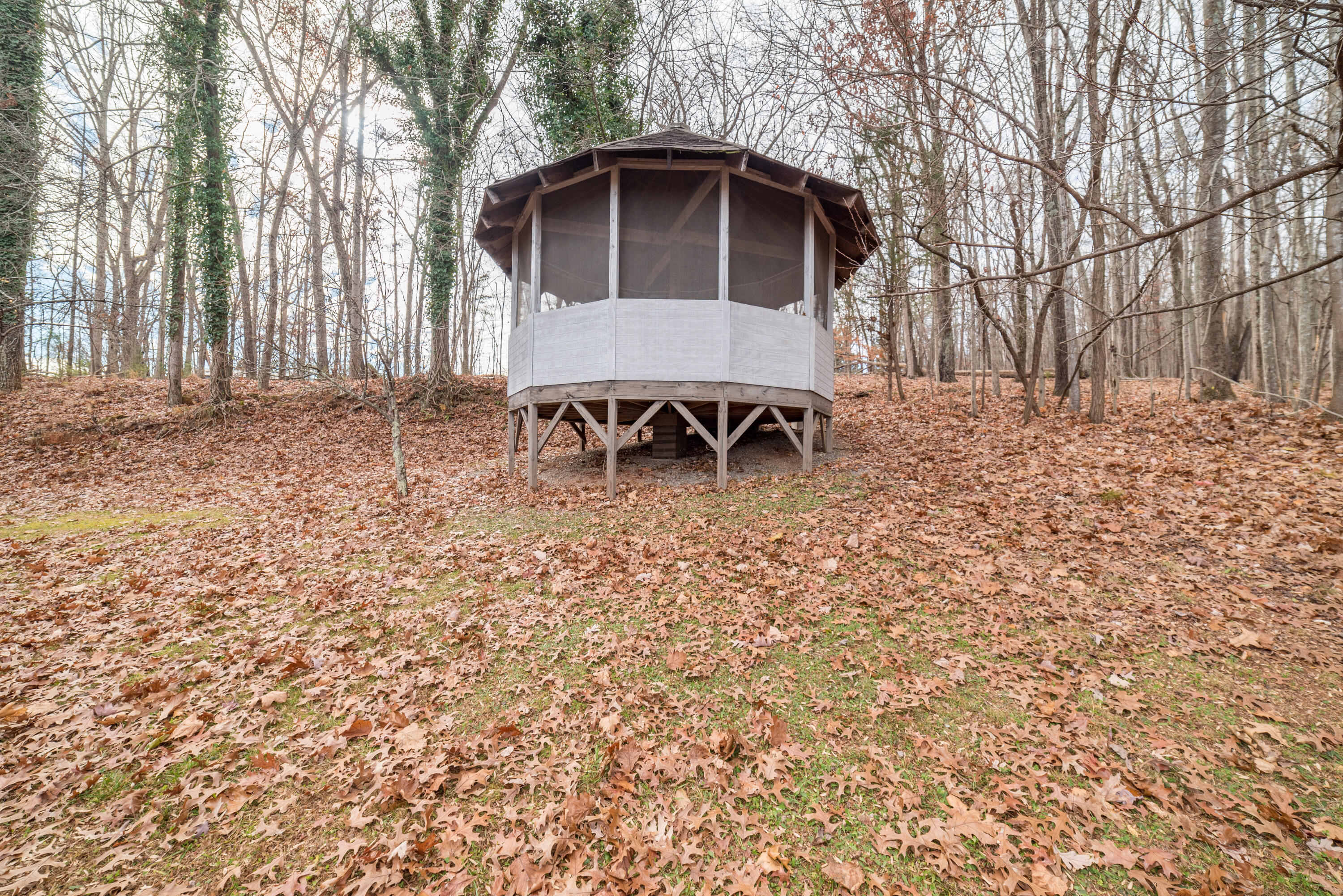 8185 Edwardsville Road Hardy, VA 24101 - Photo 35 of 40 Gazebo 2