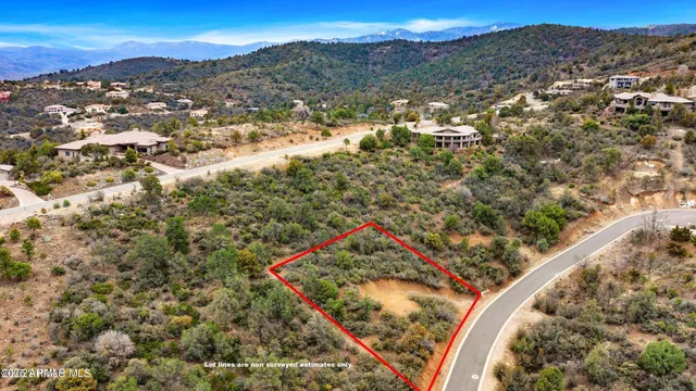 a view of a forest with mountains in the background
