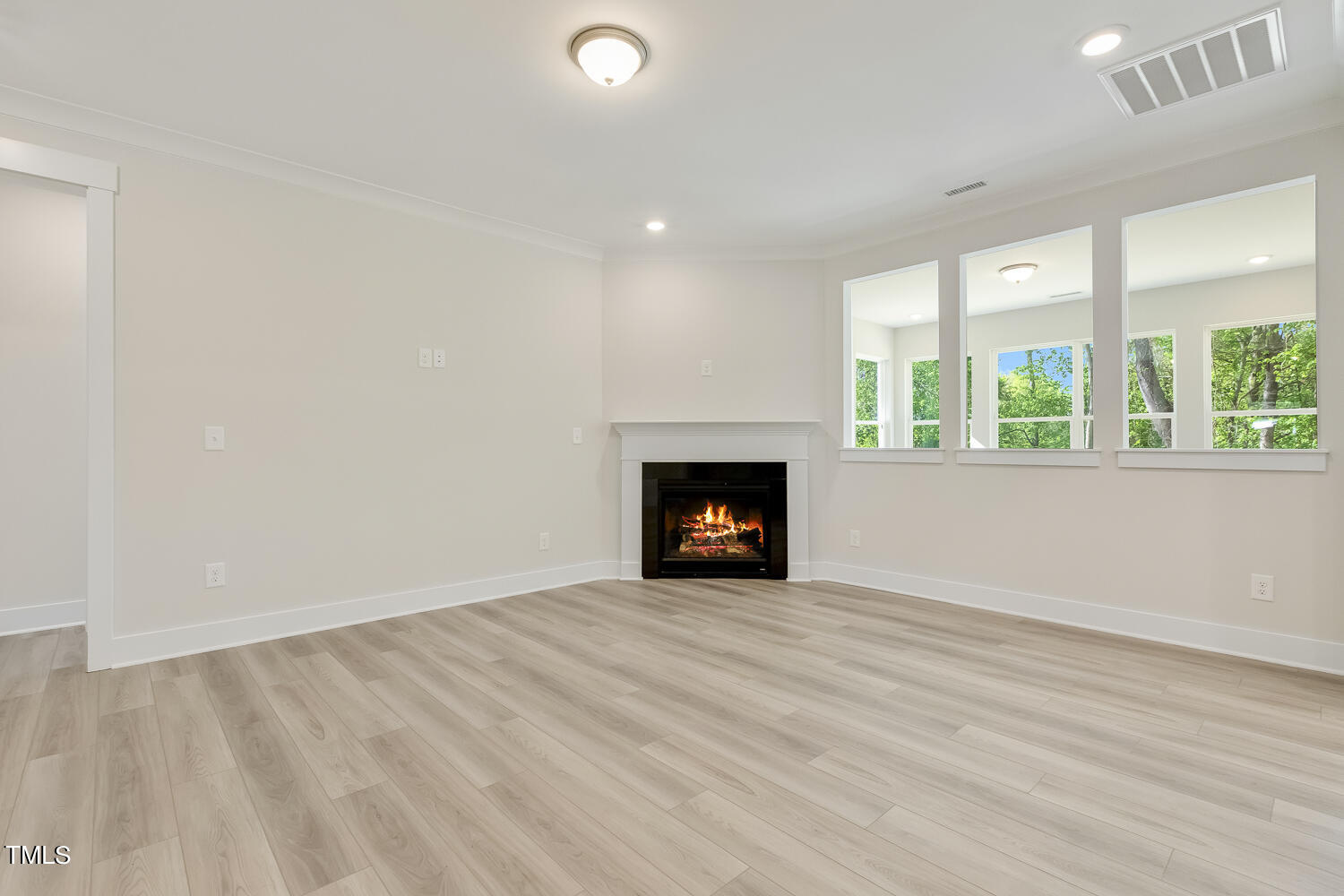 1609 Golden Sundew Drive Willow Spring, NC 27592 - Photo 8 of 54 009