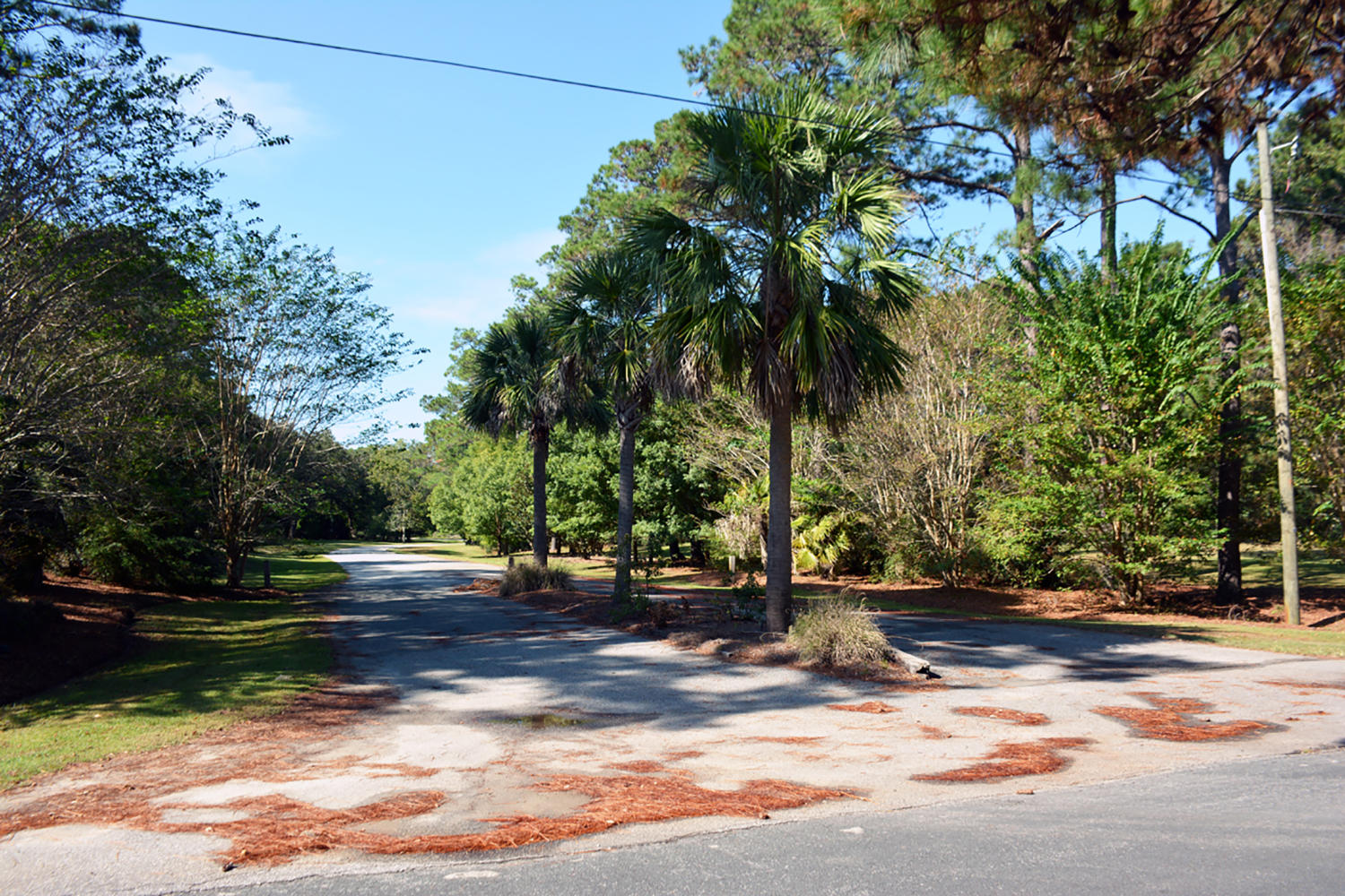 18 Blackbear Road Edisto Island, SC 29438 - Photo 17 of 20 DSC_5746_2777