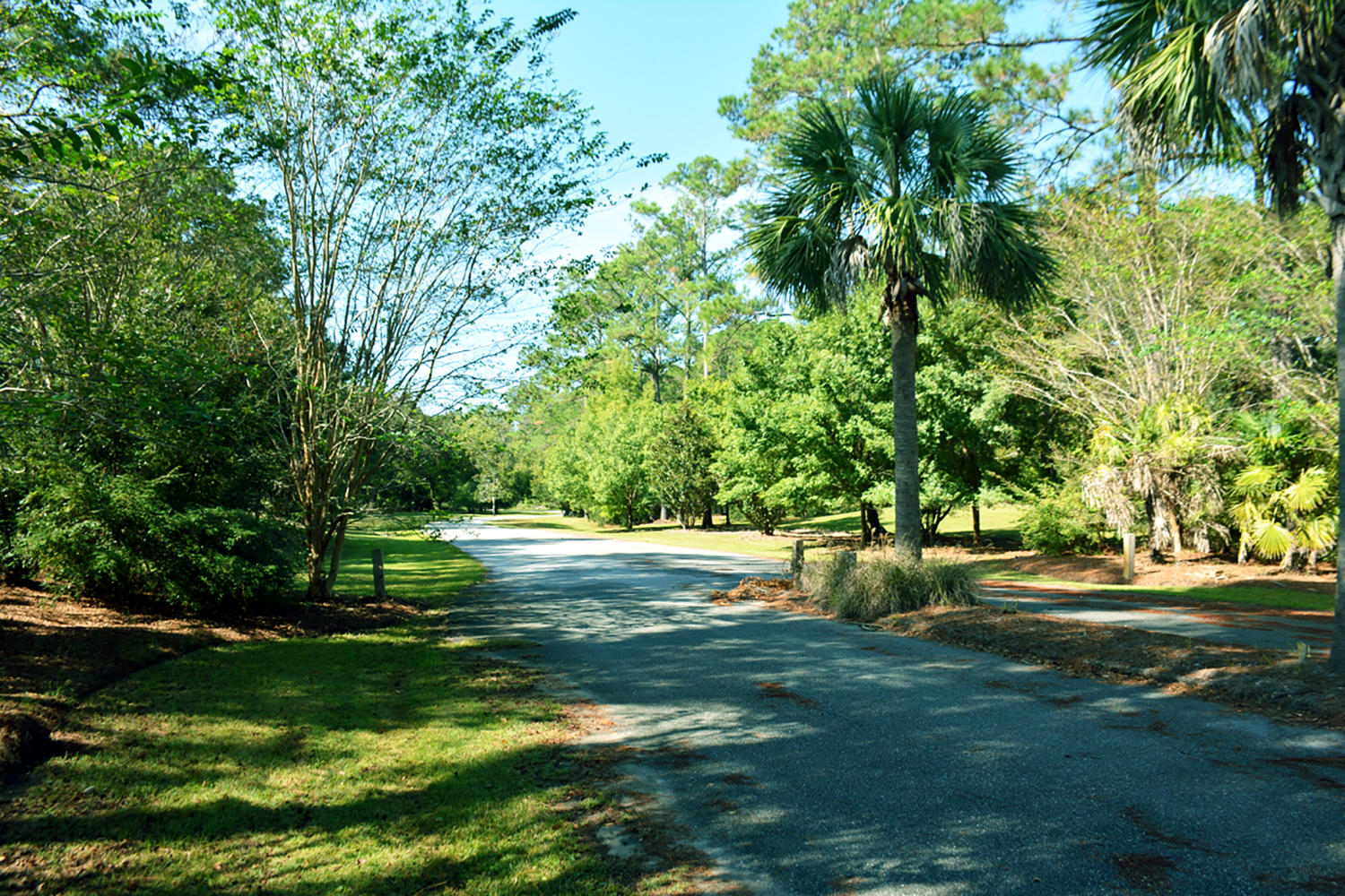 18 Blackbear Road Edisto Island, SC 29438 - Photo 18 of 20 DSC_5749_2780