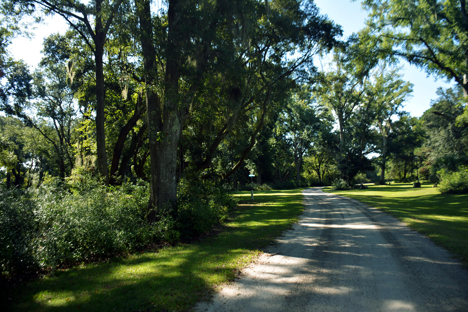 18 Blackbear Road Edisto Island, SC 29438 - Photo 10 of 20 DSC_5729_2760