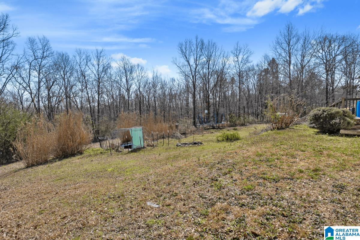 16 Claypit Road Anniston, AL 36201 - Photo 2 of 23