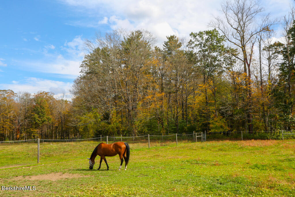 200 Easthampton Road Westhampton, MA 01027 - Photo 65 of 69 a view of a yard with an outdoor space