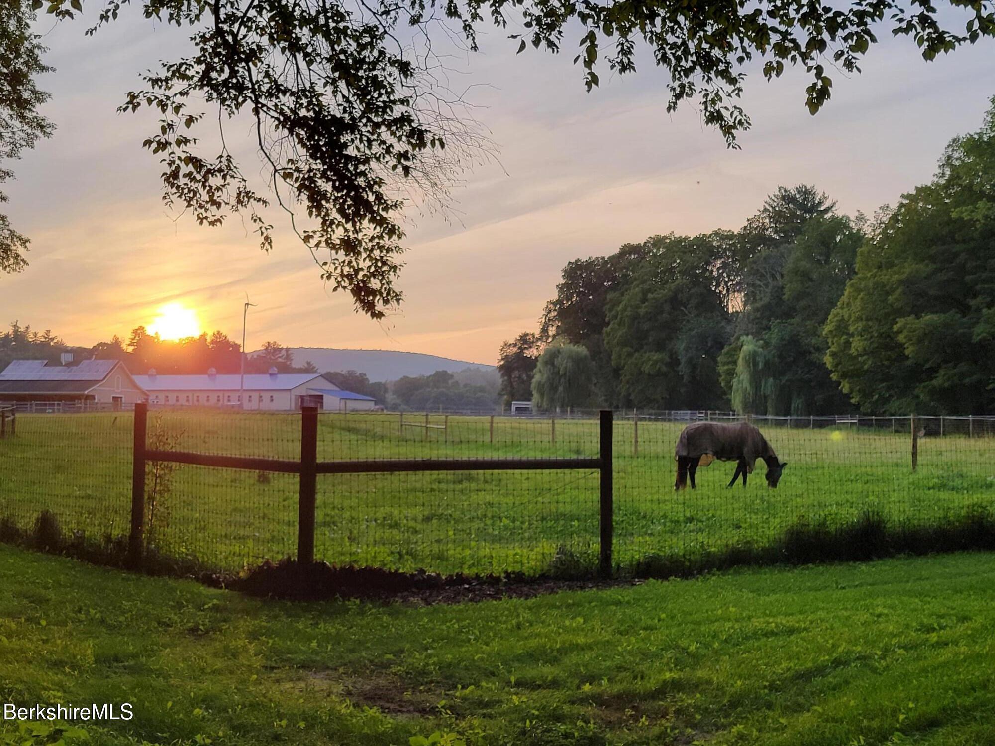 200 Easthampton Road Westhampton, MA 01027 - Photo 69 of 69 a view of a field with a tree in the background