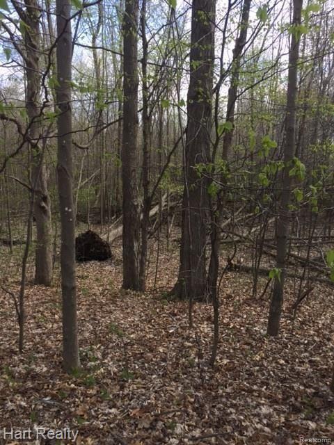 0 South Reese Road Frankenmuth, MI 48734 - Photo 2 of 15