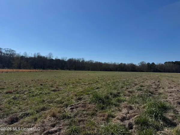 $560,000 | 29 Sontag-Nola Road, Sontag, MS 39665