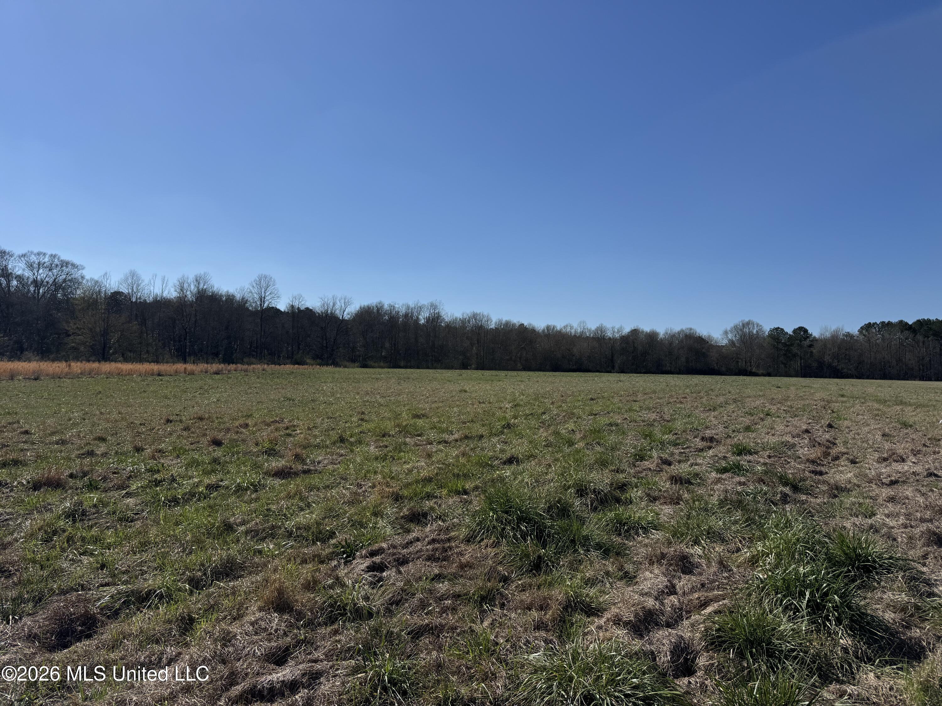 29 Sontag-Nola Road Sontag, MS 39665 - Photo 12 of 78 Photo Mar 02 2026, 14 40 23