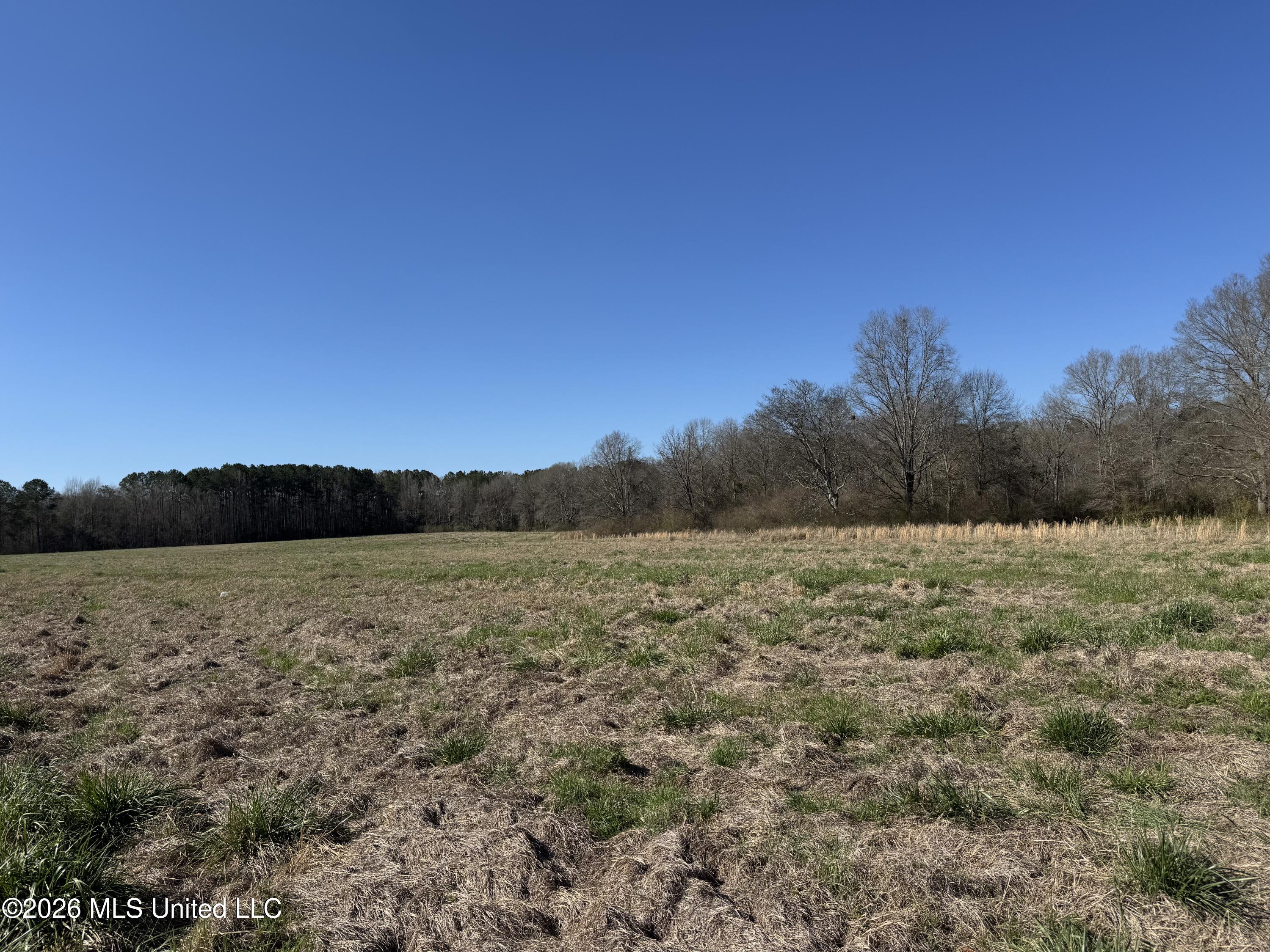 29 Sontag-Nola Road Sontag, MS 39665 - Photo 13 of 78 Photo Mar 02 2026, 14 40 25