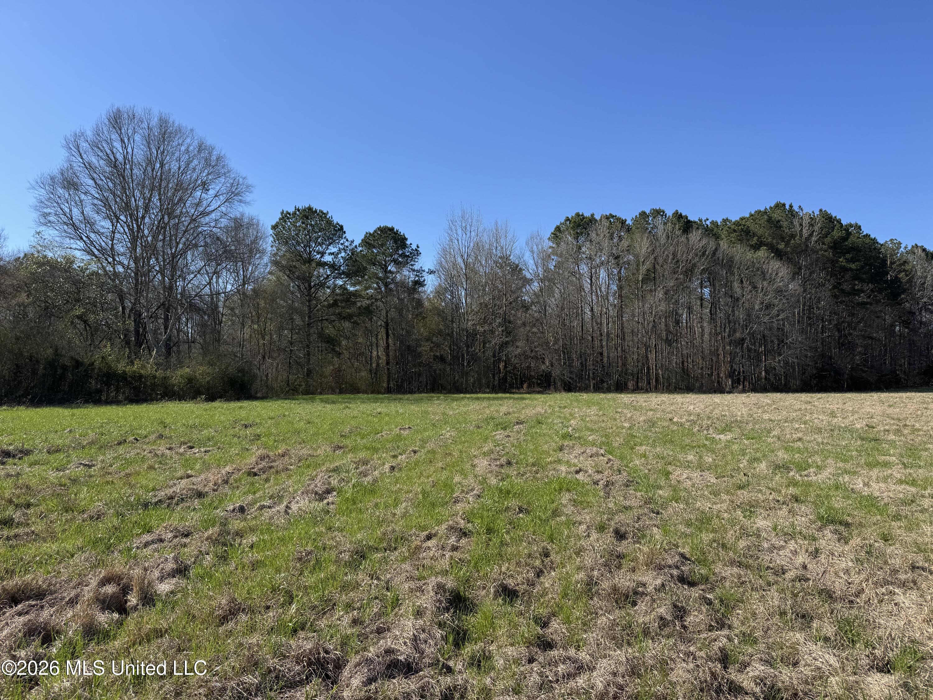 29 Sontag-Nola Road Sontag, MS 39665 - Photo 14 of 78 Photo Mar 02 2026, 14 41 32