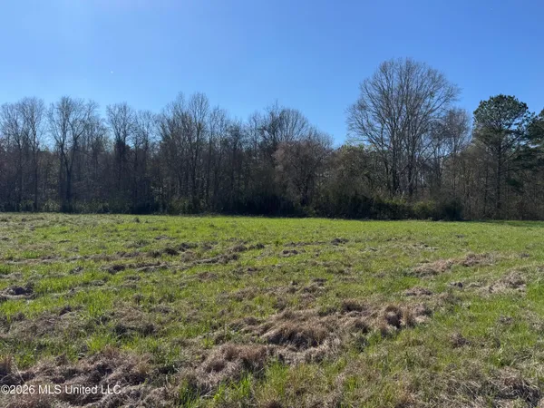 $560,000 | 29 Sontag-Nola Road, Sontag, MS 39665