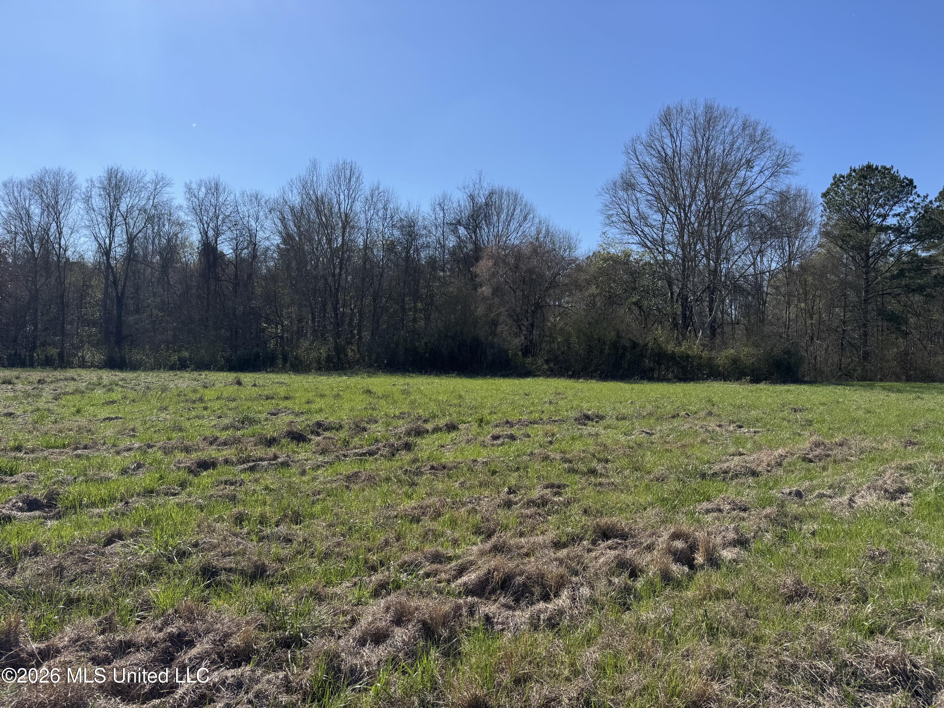 29 Sontag-Nola Road Sontag, MS 39665 - Photo 15 of 78 Photo Mar 02 2026, 14 41 34