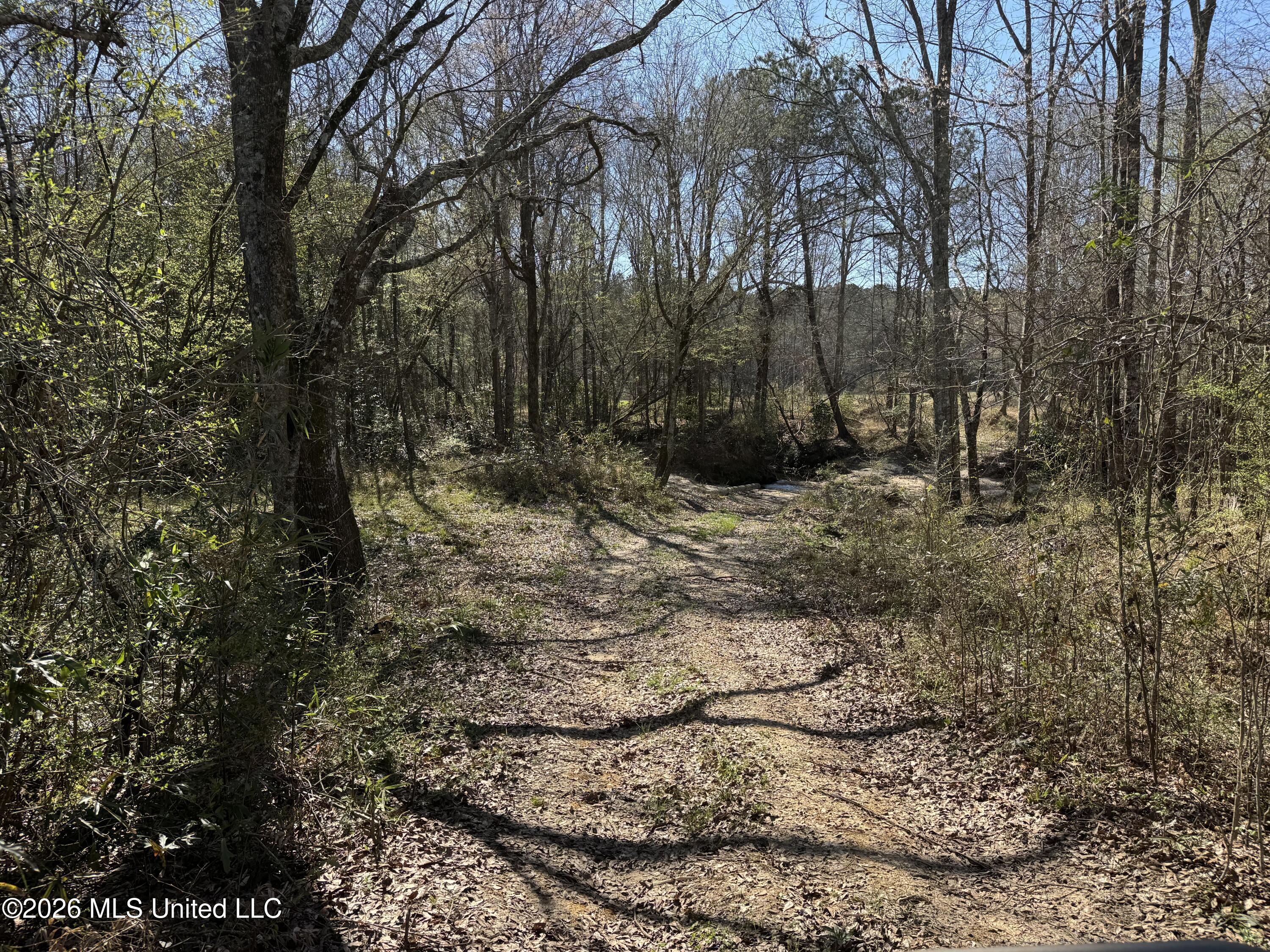 29 Sontag-Nola Road Sontag, MS 39665 - Photo 16 of 78 Photo Mar 02 2026, 14 42 03