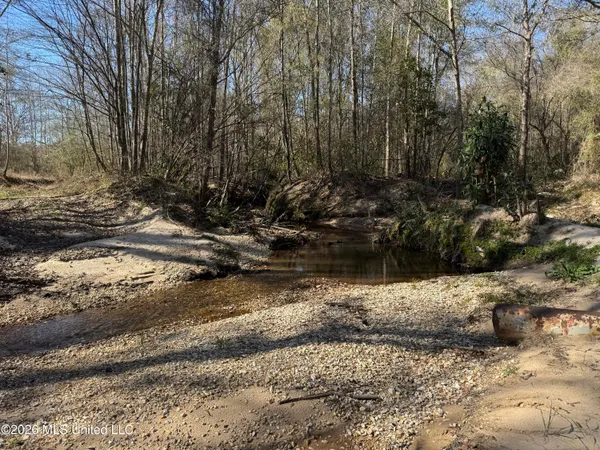 $560,000 | 29 Sontag-Nola Road, Sontag, MS 39665