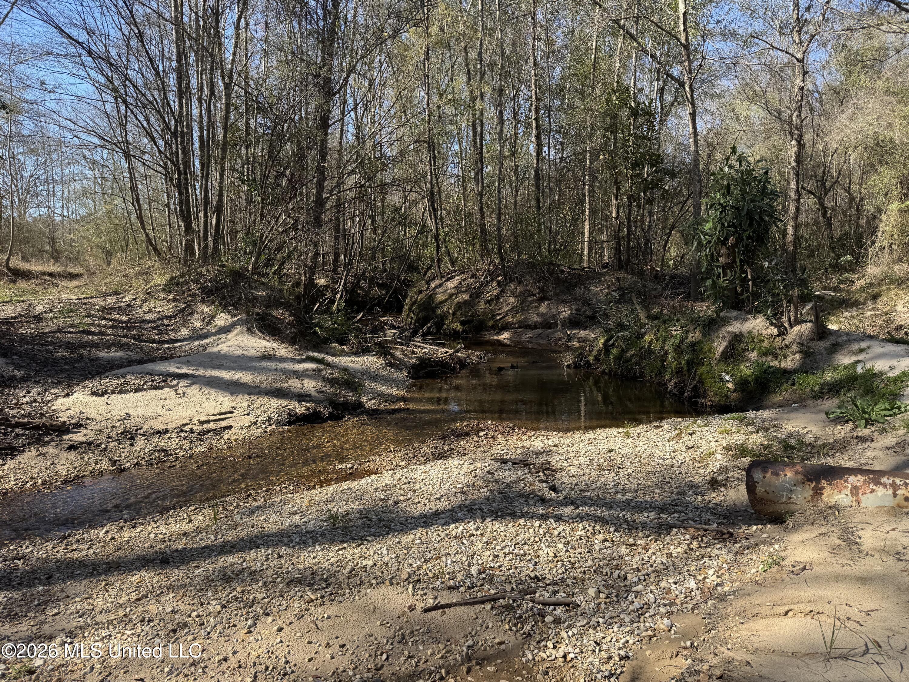 29 Sontag-Nola Road Sontag, MS 39665 - Photo 17 of 78 Photo Mar 02 2026, 14 42 29