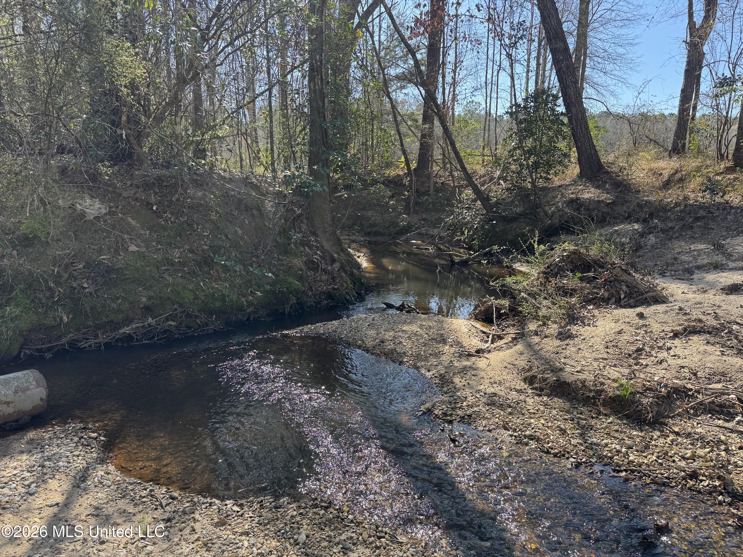 29 Sontag-Nola Road Sontag, MS 39665 - Photo 18 of 78 Photo Mar 02 2026, 14 42 35