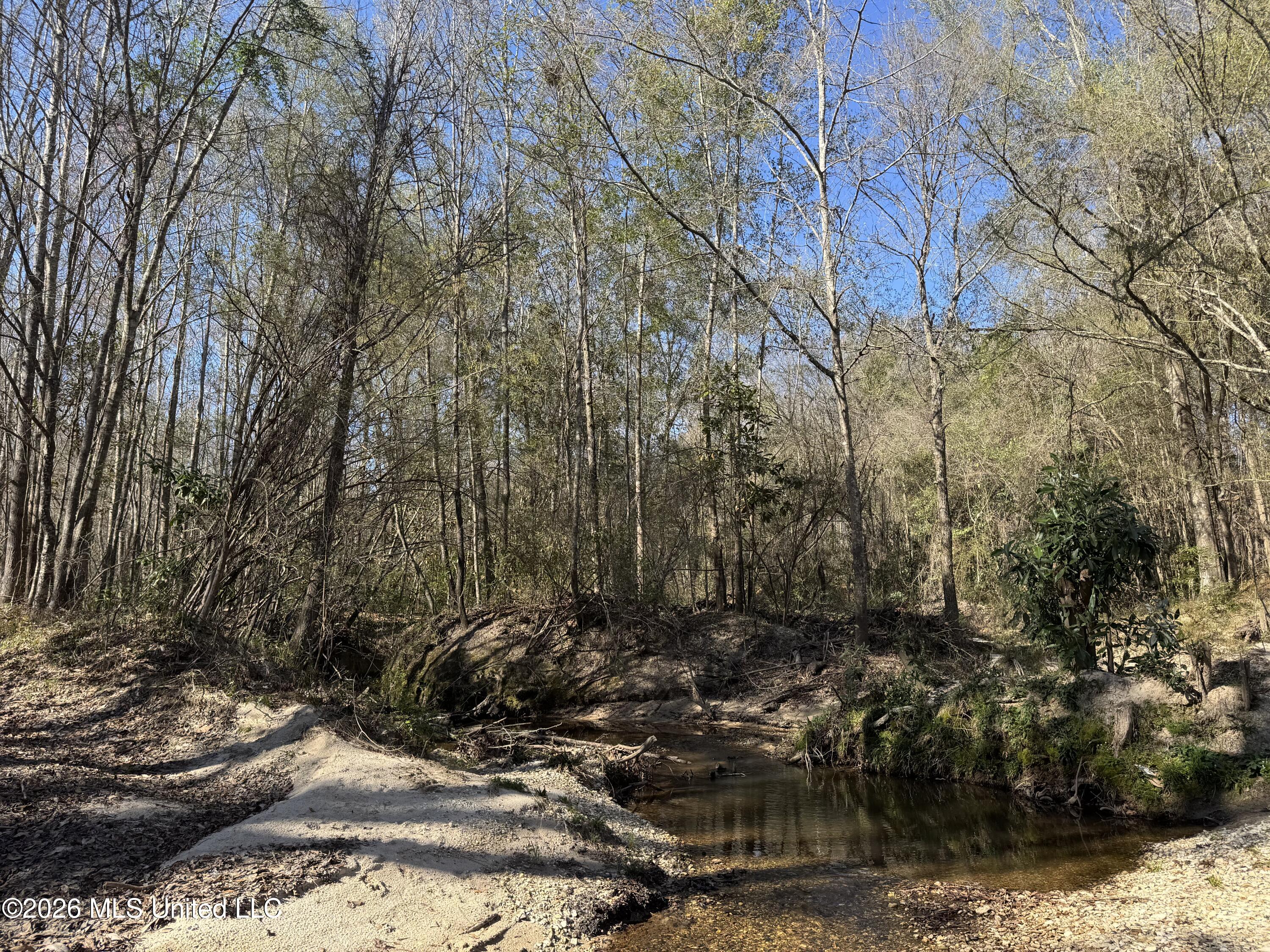 29 Sontag-Nola Road Sontag, MS 39665 - Photo 19 of 78 Photo Mar 02 2026, 14 42 46